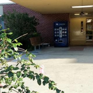 A vending machine and a bench near the entrance of a building, surrounded by greenery.