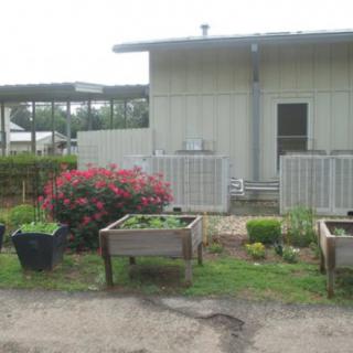 A small outdoor garden with raised beds and flowering plants in front of a building.