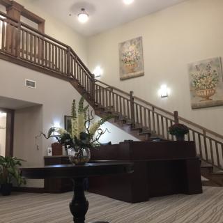 A spacious lobby with a wooden staircase, decorative plants, and wall artwork.