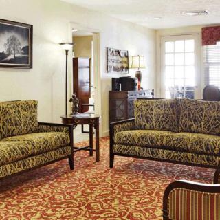A cozy living room with patterned sofas and a warm rug, featuring elegant decor.