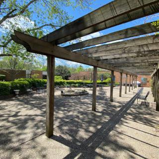 A serene outdoor space featuring a pergola surrounded by greenery and sunlight.