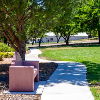 A peaceful park scene with a winding pathway and a bench under the shade of trees.