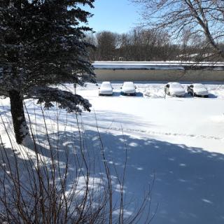 A serene winter scene showing snow-covered cars and a tranquil landscape.
