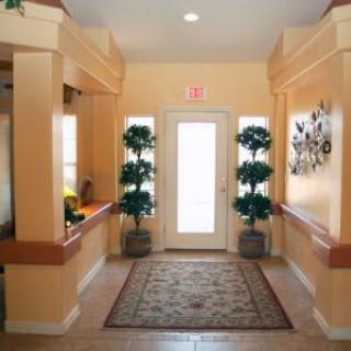A well-lit hallway with decorative plants and a carpet leading to a glass door.