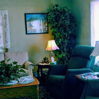 A cozy living room with comfortable seating, lamps, and indoor plants.