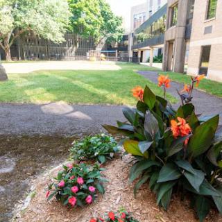 A serene garden featuring vibrant flowers, surrounded by a well-maintained lawn and buildings.