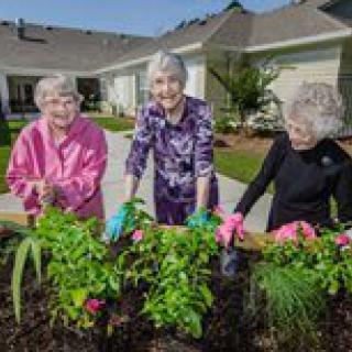 A group of senior women gardening together in a community garden.