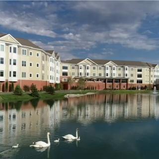 A serene view of apartment buildings by a lake with swans gliding on the water.