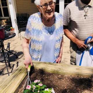 An elderly woman is happily gardening outdoors, planting flowers in a raised bed.
