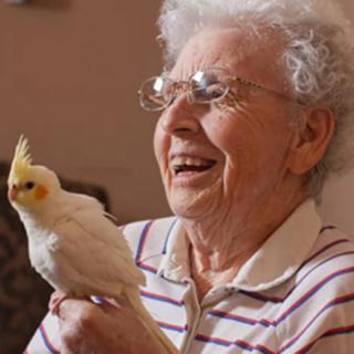 Elderly woman smiling while holding a cockatiel indoors.