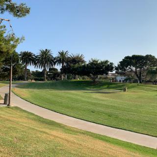 A serene view of a golf course with lush green grass and palm trees under a clear blue sky.