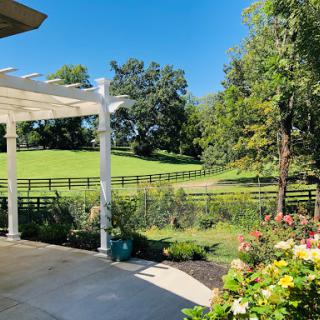 A serene view of a lush garden with a pergola, showcasing vibrant flowers and a picturesque green landscape.