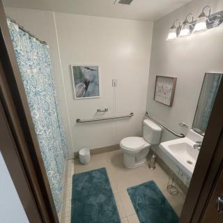 A modern bathroom with teal accents, featuring a toilet, sink, and decorative elements.