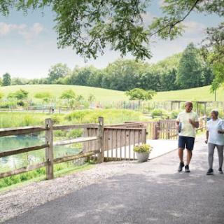 A serene walk along a picturesque pathway beside a tranquil water body, surrounded by lush greenery.