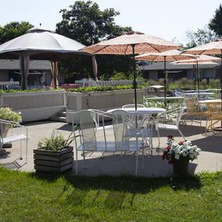 An outdoor patio area with tables, chairs, and umbrellas set amidst greenery.