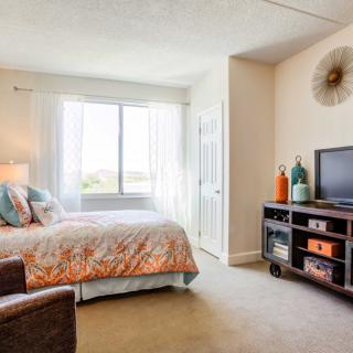 A cozy bedroom with a bed, TV, and decorative elements.