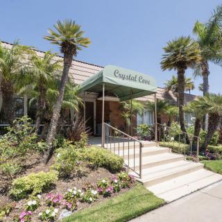 A sunny building entrance with palm trees and landscaped garden.