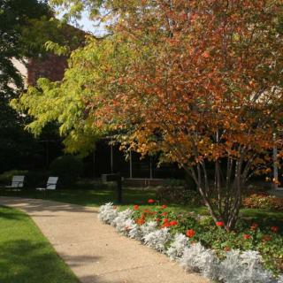 A serene garden scene with autumn foliage and a flower-lined pathway.