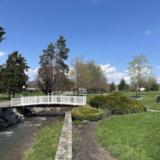 A peaceful park scene featuring a white bridge over a gentle stream, surrounded by lush greenery and clear blue skies.