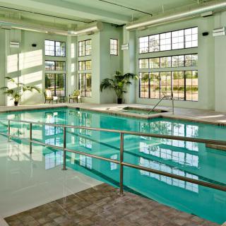 A modern indoor swimming pool with large windows and lush greenery.