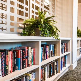 A cozy library corner with a bookshelf filled with books and decorated with potted plants.