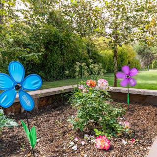 A colorful garden with decorative flowers under a canopy of trees.
