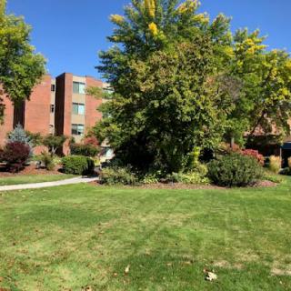 A serene view of a landscaped area featuring green grass, trees, and residential buildings under a clear blue sky.