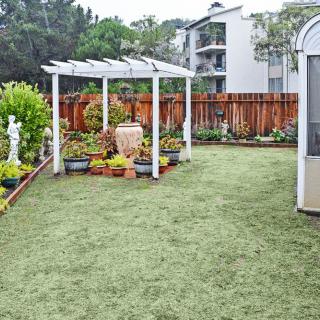 A well-maintained garden with a pergola, surrounded by plants and a wooden fence.