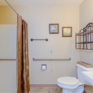 A well-organized bathroom with safety grab bars and decorative elements.