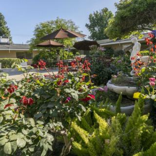 A lush garden with vibrant flowers and a decorative fountain on a sunny day.