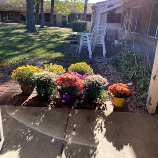 A vibrant display of potted flowers on a sunny day in the garden.