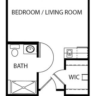 Studio apartment floor plan with a combined bedroom and living room, bathroom, and walk-in closet.