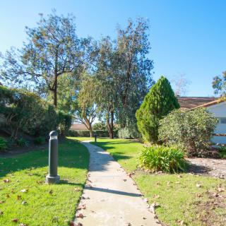 A scenic pathway surrounded by lush greenery and trees leading to a house.