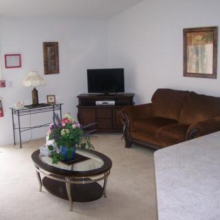 A cozy living room featuring a brown sofa, a glass-top coffee table with a plant centerpiece, and a television on a wooden stand.