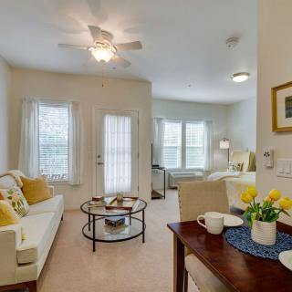 A cozy, well-lit living room with modern furniture and decor.