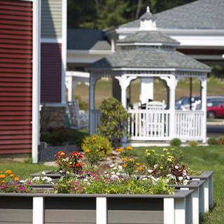 A beautiful garden with vibrant flowers and a white gazebo in the background.
