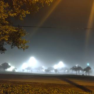 A foggy night scene with illuminated lights in a park.