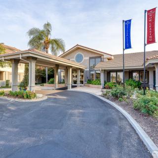 A welcoming entrance to a building with flags, surrounded by well-maintained landscaping and a palm tree.