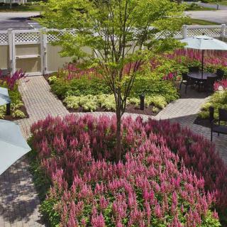 A beautifully landscaped garden featuring pink flowers surrounding a tree with outdoor seating areas.