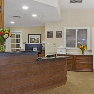 A modern reception area with a desk, computer, and decorative flowers.