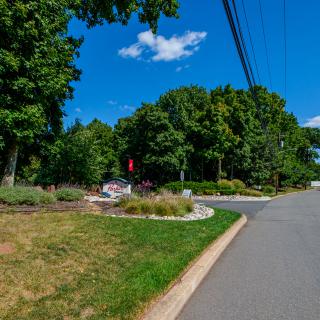 A scenic street lined with lush trees and greenery on a sunny day.