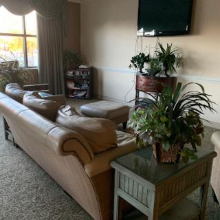 A cozy living room featuring a comfortable couch, decorative plants, and a television.