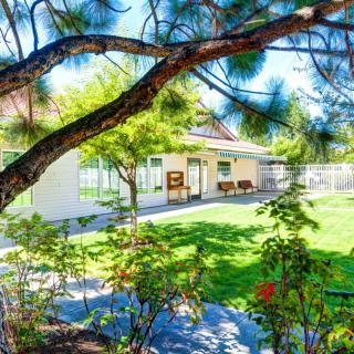 A serene backyard garden with lush greenery and a charming house in the background.