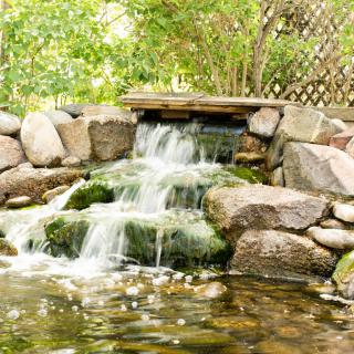 A serene backyard waterfall flows over rocks into a small pond, surrounded by lush greenery.