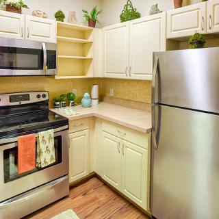 A modern kitchen with stainless steel appliances and decorative plants.