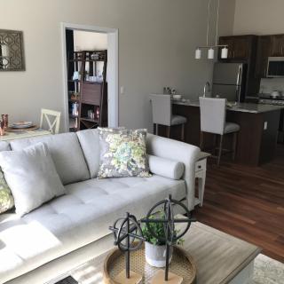 Modern open-concept living room and kitchen area with stylish furnishings.