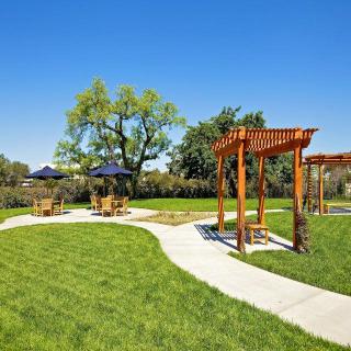 A sunny park with a pathway, wooden pergolas, and lush green grass.