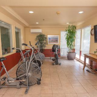 A bright and spacious gym area featuring exercise bikes and greenery.
