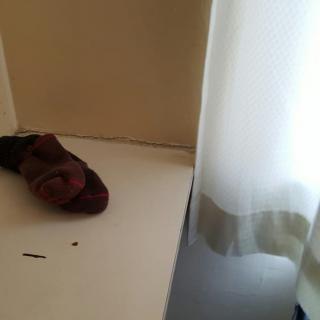 A single sock lies on the floor near a window with a curtain.