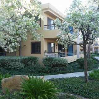 An apartment building surrounded by lush trees and landscaped gardens.